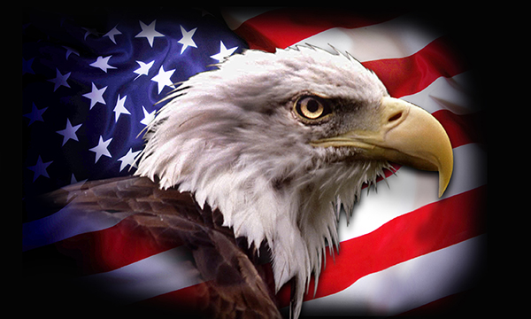 american-eagle-flag-3x5-31.jpeg